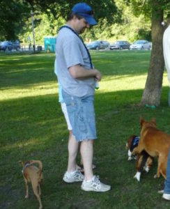 Happy dogs playing at the St Cloud MN dog park with owner.