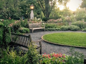 Gardens and sitting area in the backyard