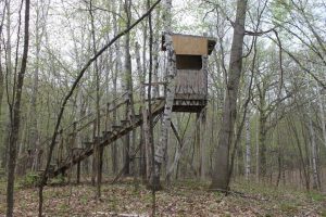 One of the 4 deer stands that is located on this hunters paradise property in St Joseph MN. 